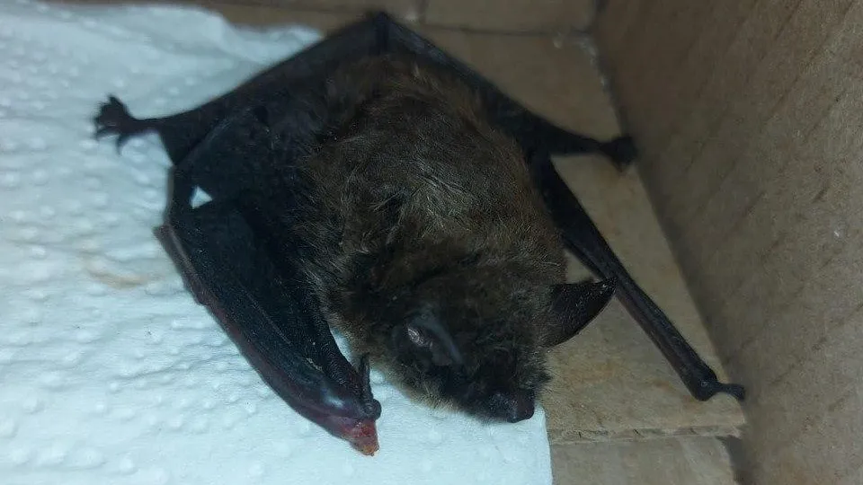 Фото: пресс-служба Министерства сельского хозяйства и продовольствия МО