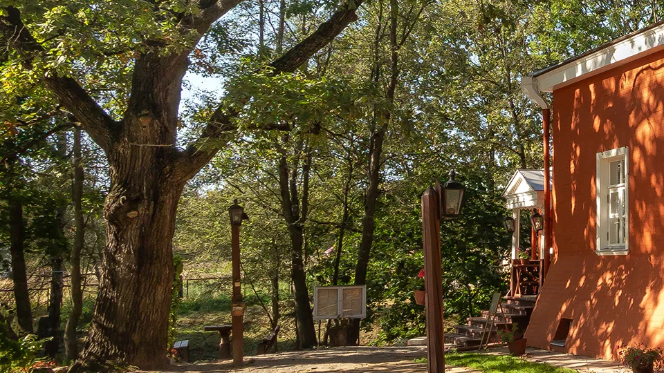 Фото: Андрей Котуранов