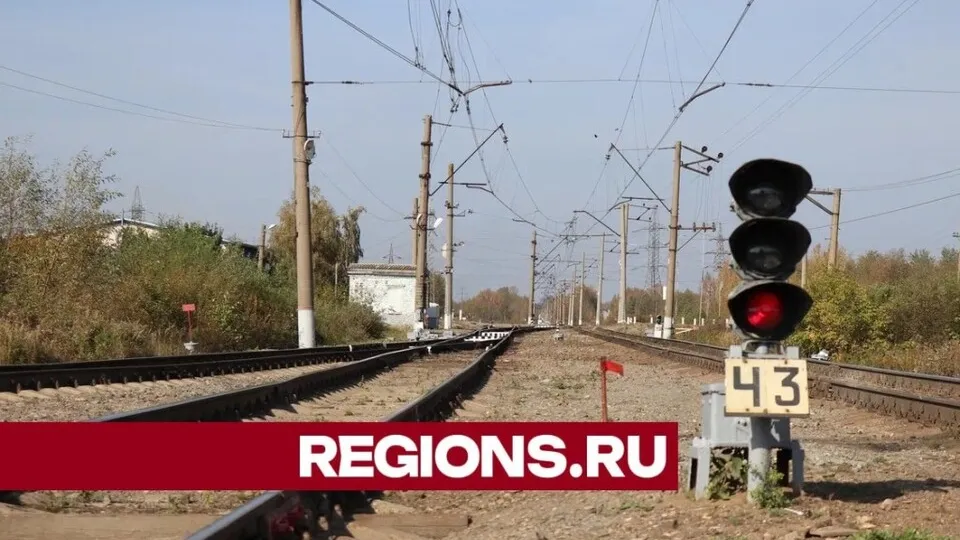 Фото: Regions.ru/Василий Тремасов