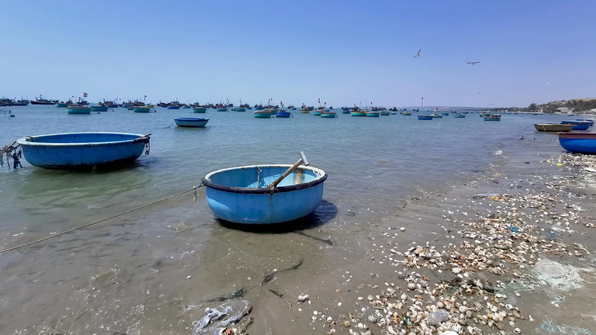 Alexandra Schuler/dpa