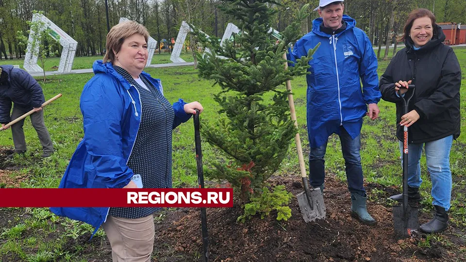 Фото: REGIONS/Михаил Раскин