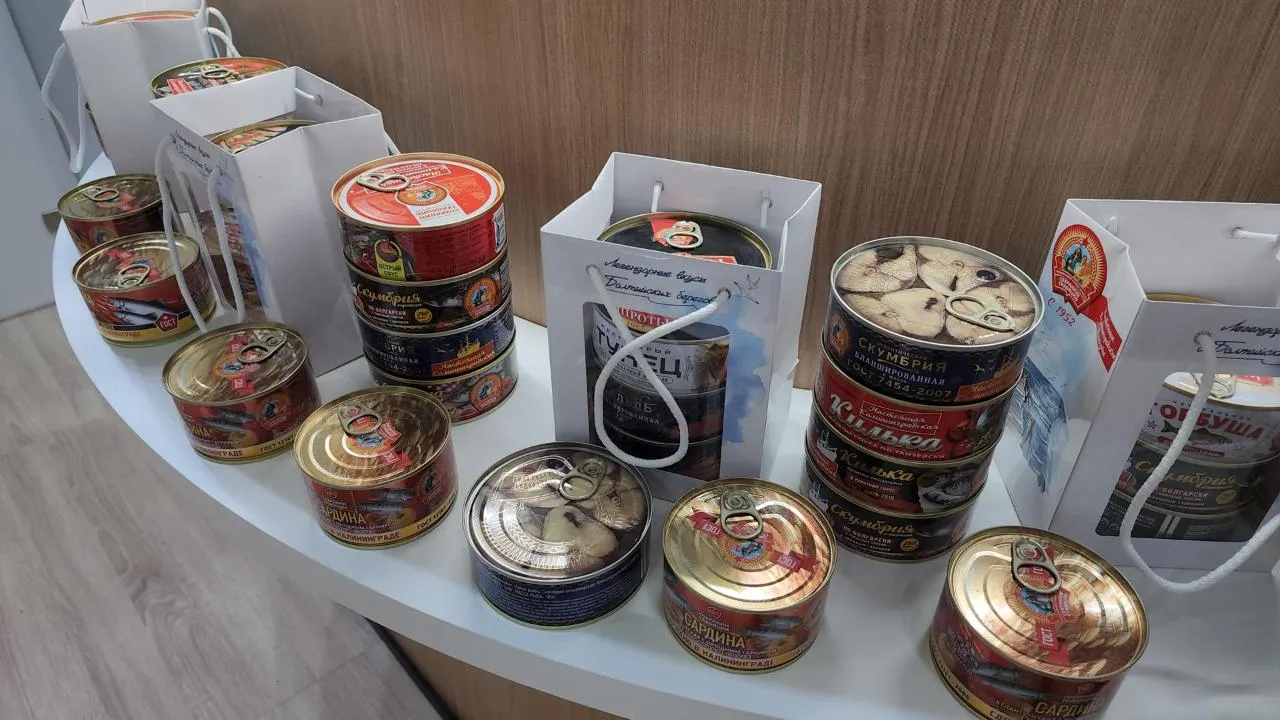 REGIONS/Кристина Ларина