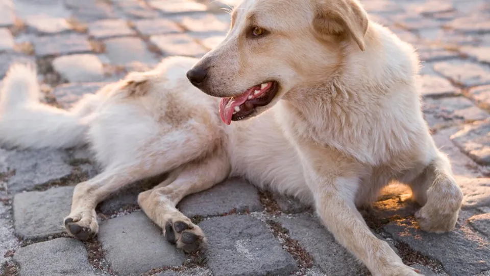 Фото: freepik.com