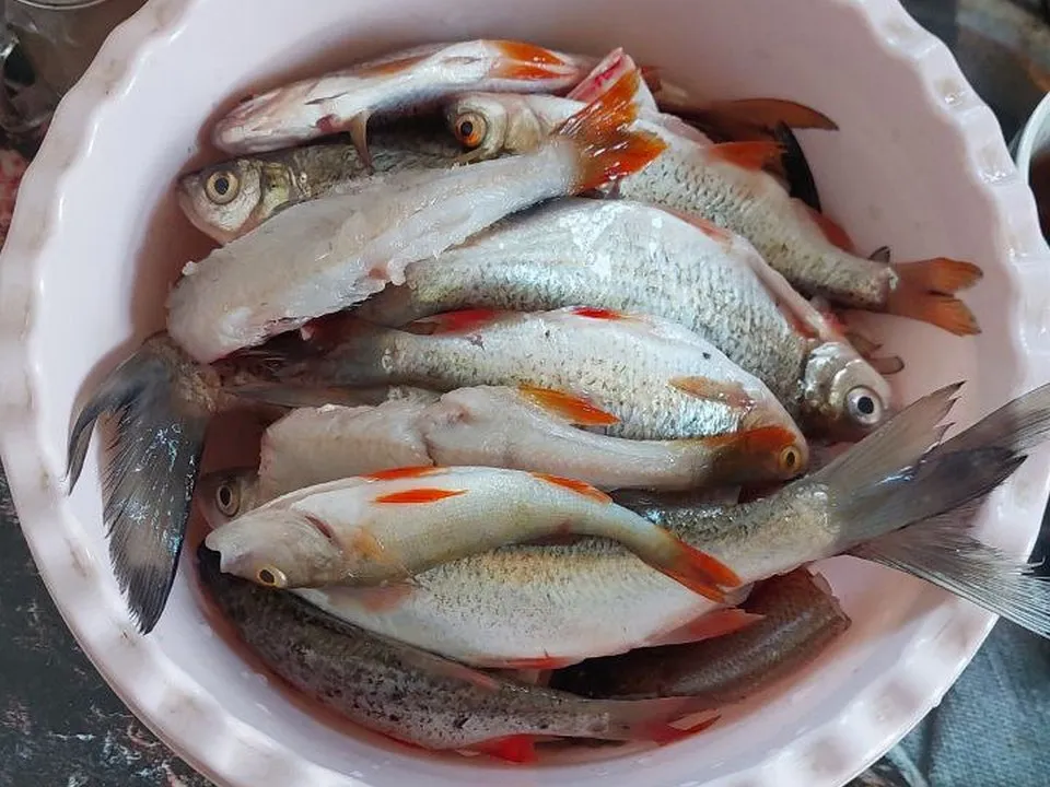 Фото: Василий Потапов