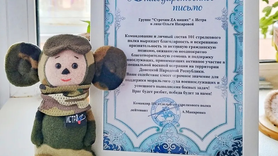 Фото: vk.com/Строчим ZA наших Истра