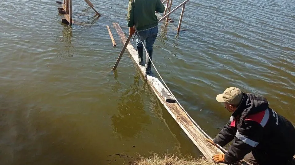 Фото: пресс-служба администрации г.о. Лобня