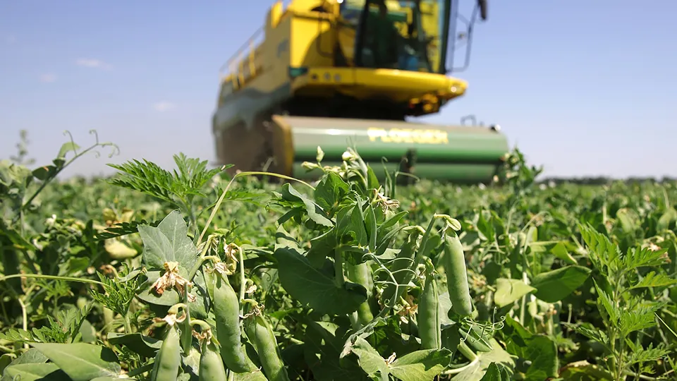 Фото: РИА Новости/Виталий Тимкив