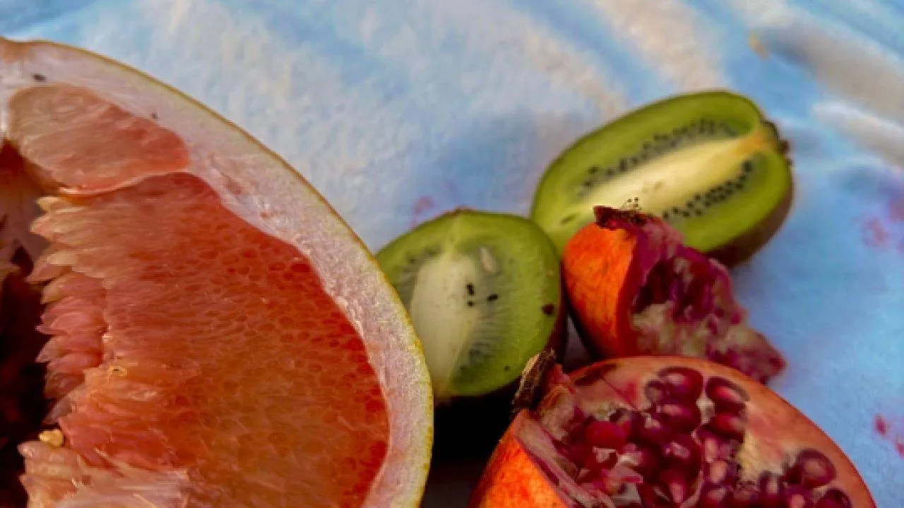 REGIONS/Дарья Кудинова