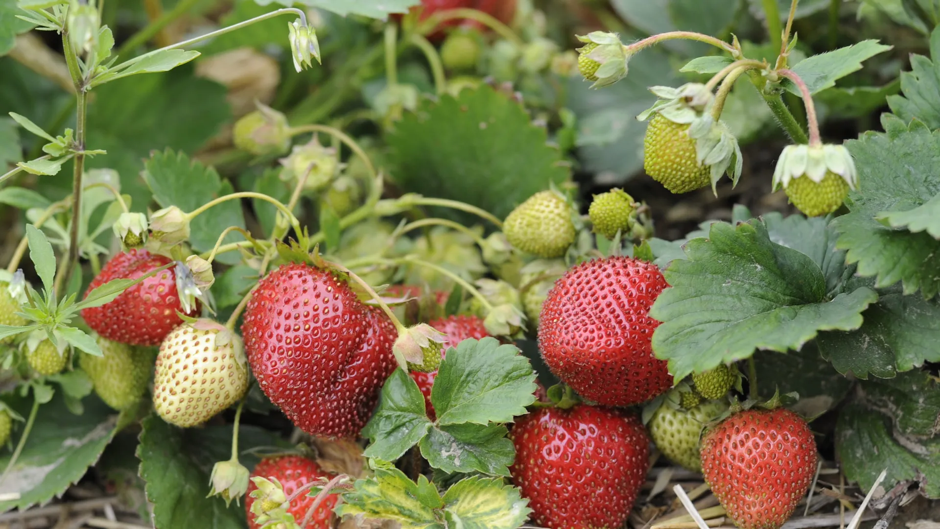 Фото: медиасток.рф