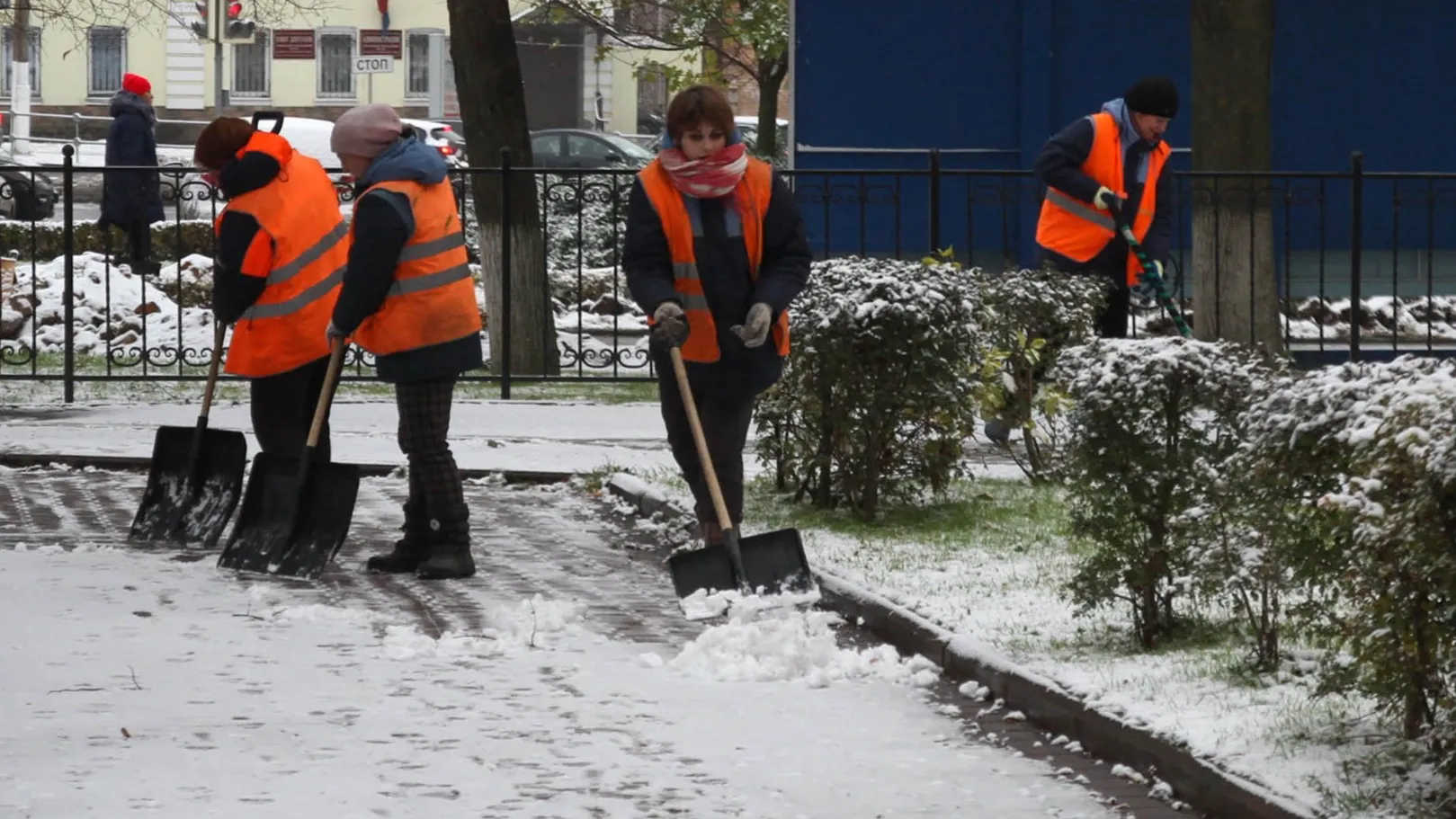 Фото: медиасток.рф