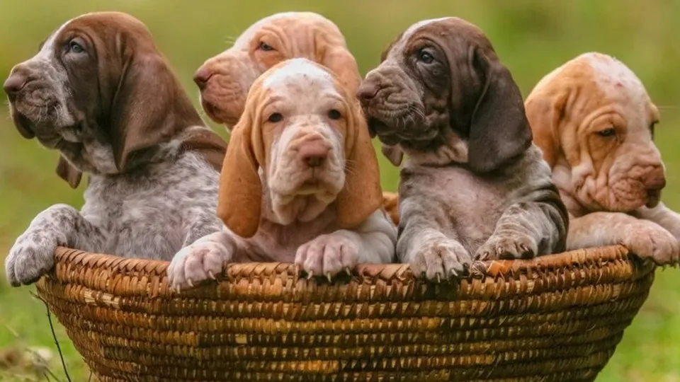 Фото: freepik.com