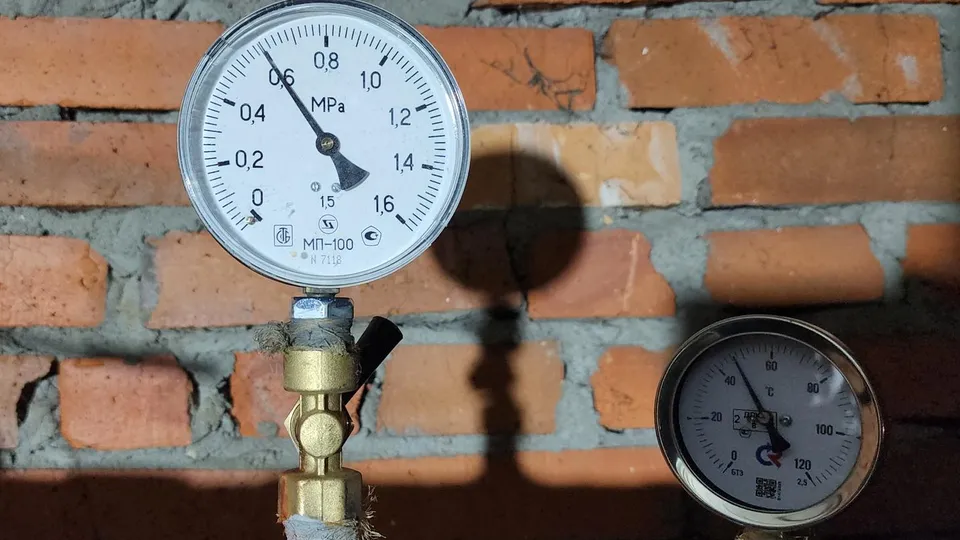 Фото: Ксения Пашуто