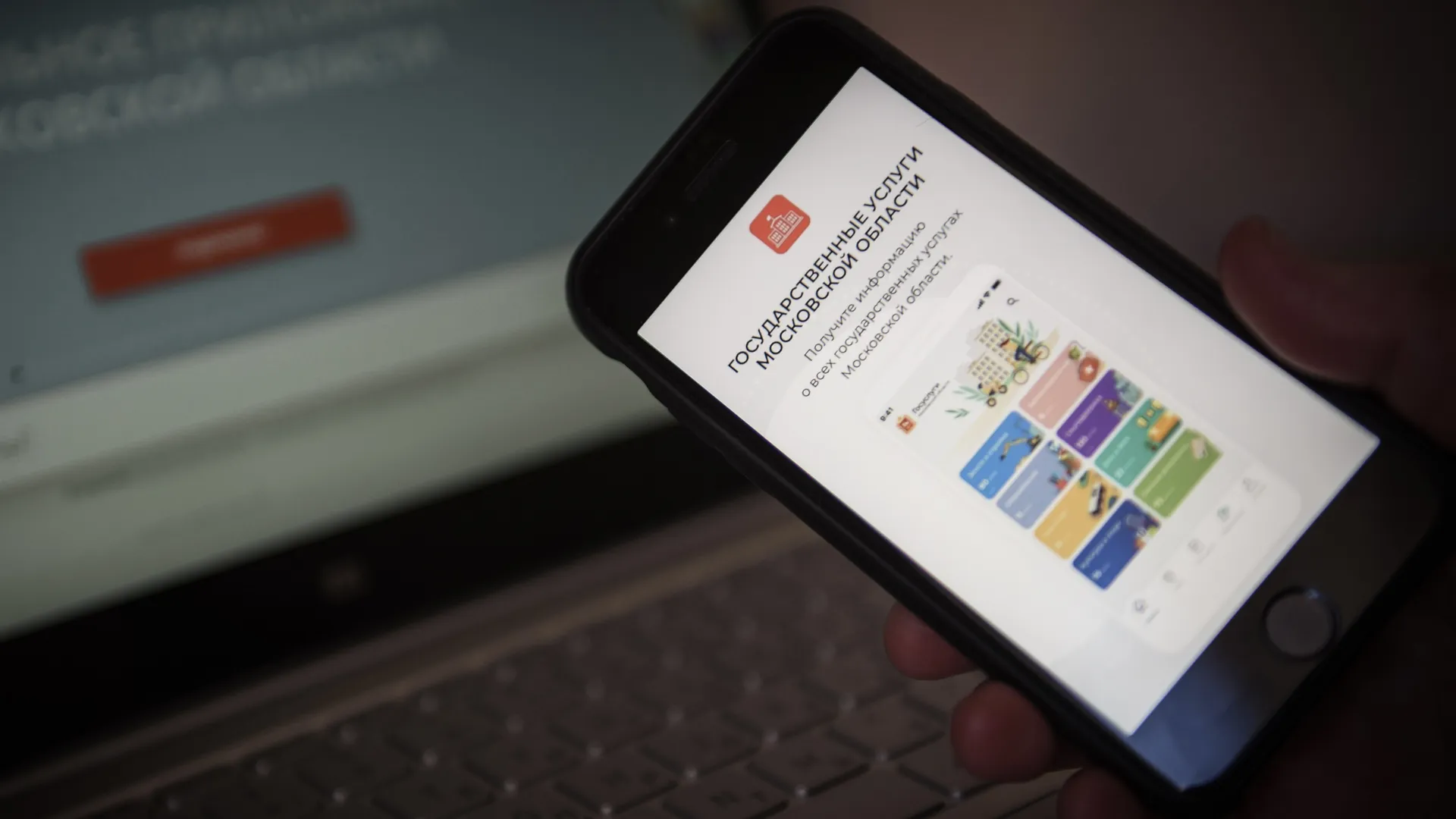 Фото: медиасток.рф