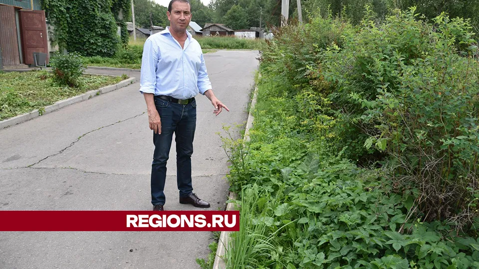 Фото: Владимир Останин