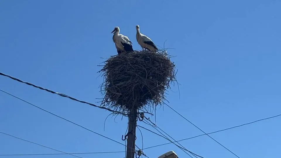 Фото: Алена Мельникова
