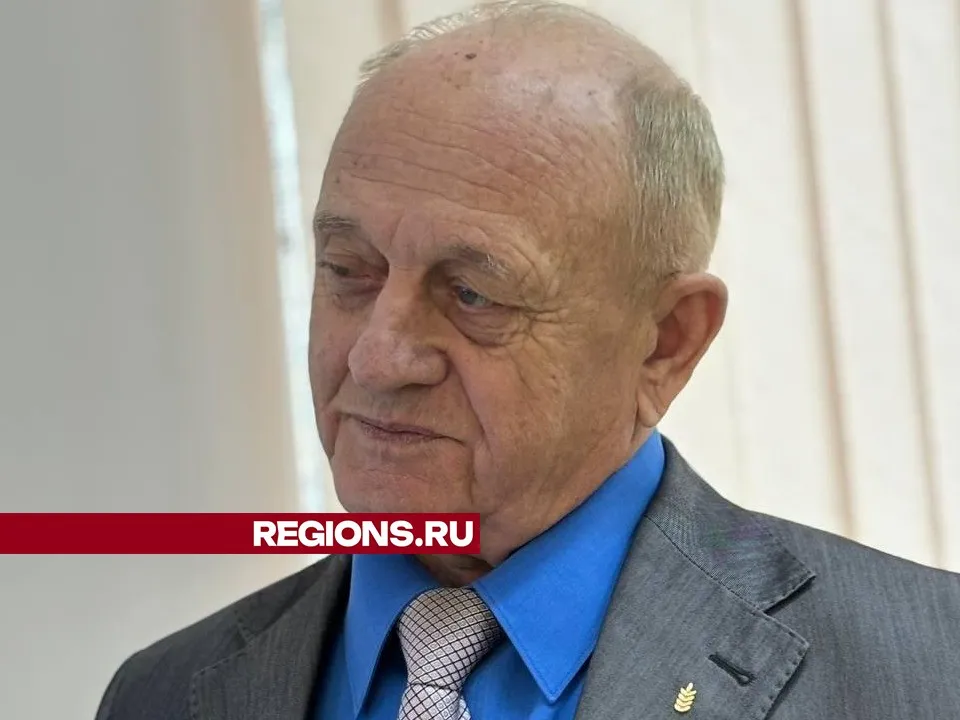 Фото: Светлана Плотникова