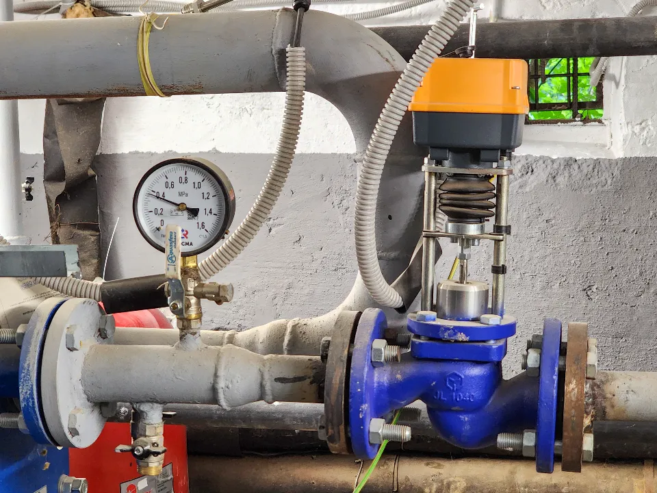 Фото: Мария Андрюхина