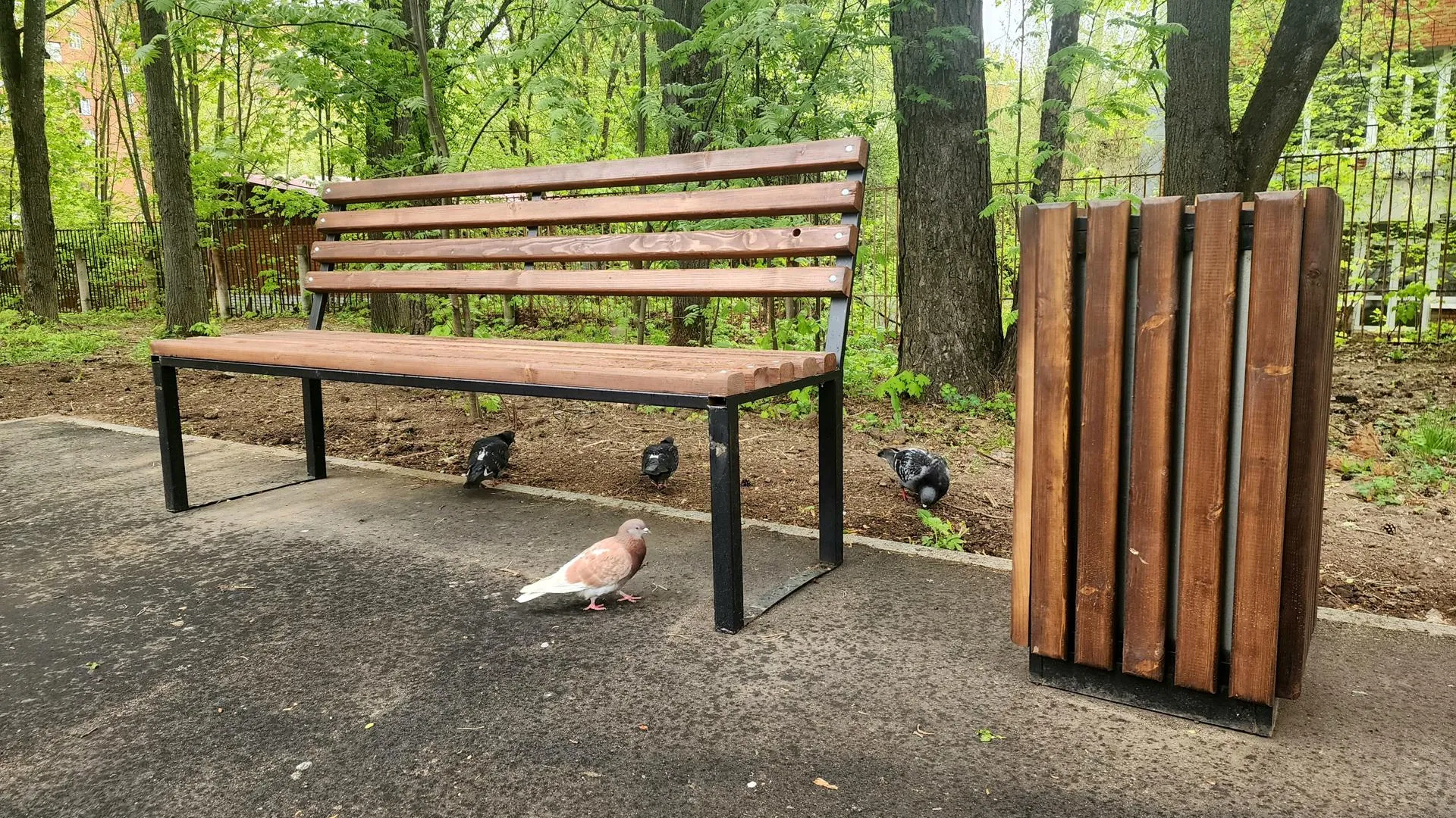 Фото: Мария Панина