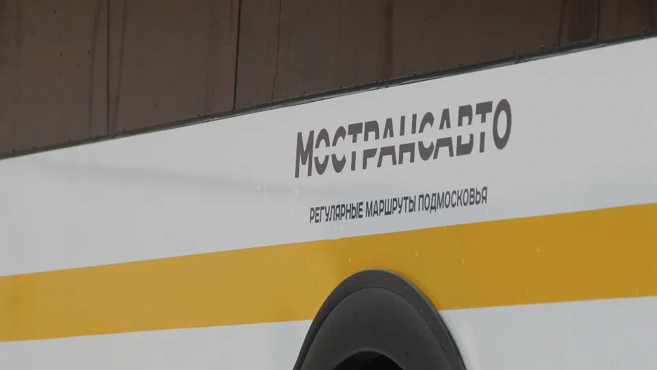 Фото: REGIONS/Василий Тремасов