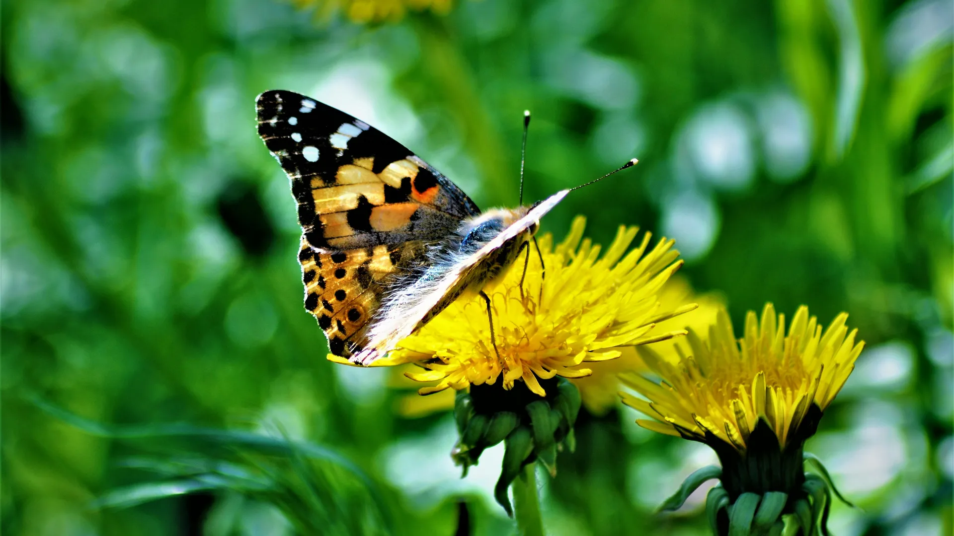 Фото: unsplash.com