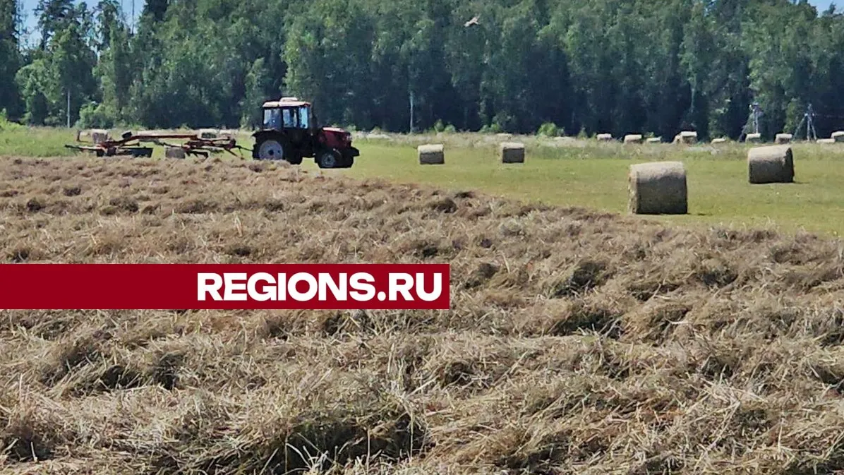 Фото: Валерий Гореловский