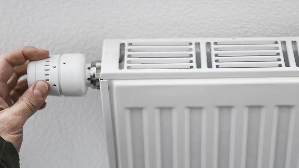 Фото: медиасток.рф (http://xn--80ahcnlhsxj.xn--p1ai/)