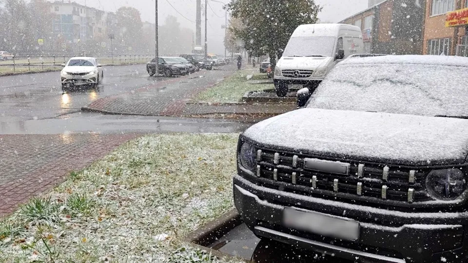 Фото: REGIONS/Алексей Селиверстов