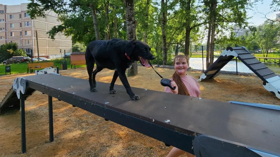 Фото: Дмитрий Алексеенко