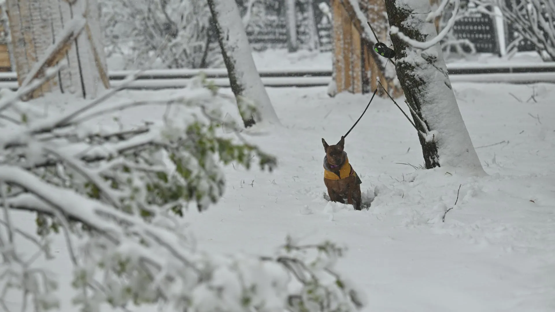 Komsomolskaya Pravda/Global Look Press