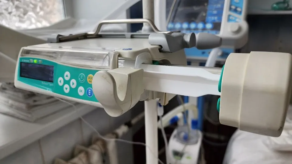 Фото: Медиаархив Подмосковья