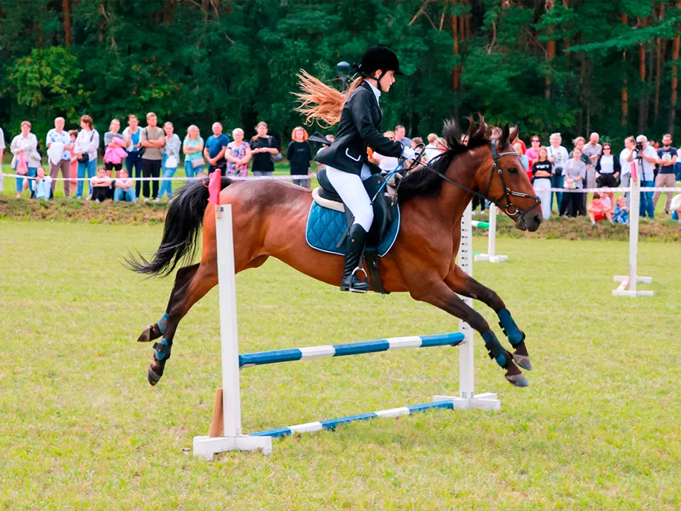 Фото: REGIONS/Евгений Мазепов