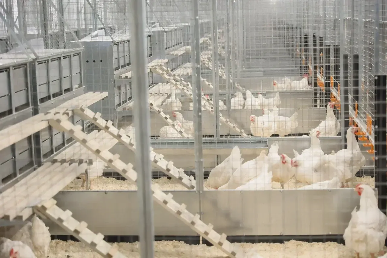 Фото: пресс-служба губернатора Московской области