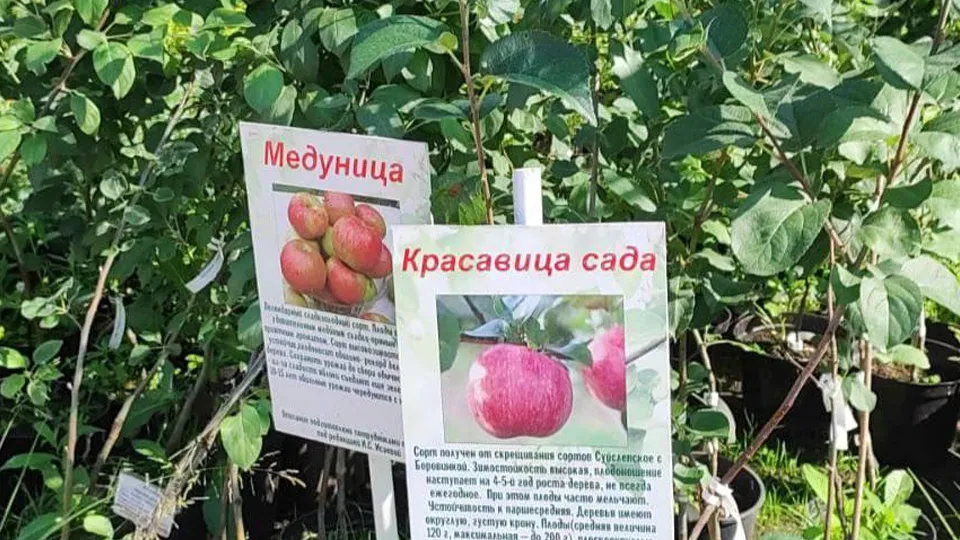 Фото: Министерство имущественных отношений Московской области