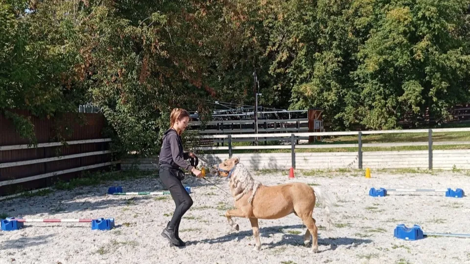 Фото: Управление образования Лыткарина