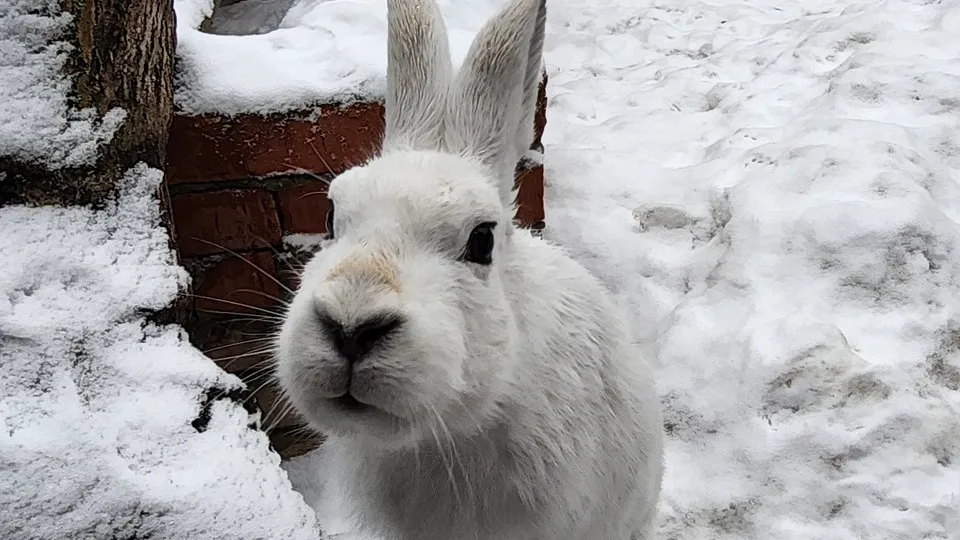 Фото: МедиаБанк Подмосковья/Наталия Надточая