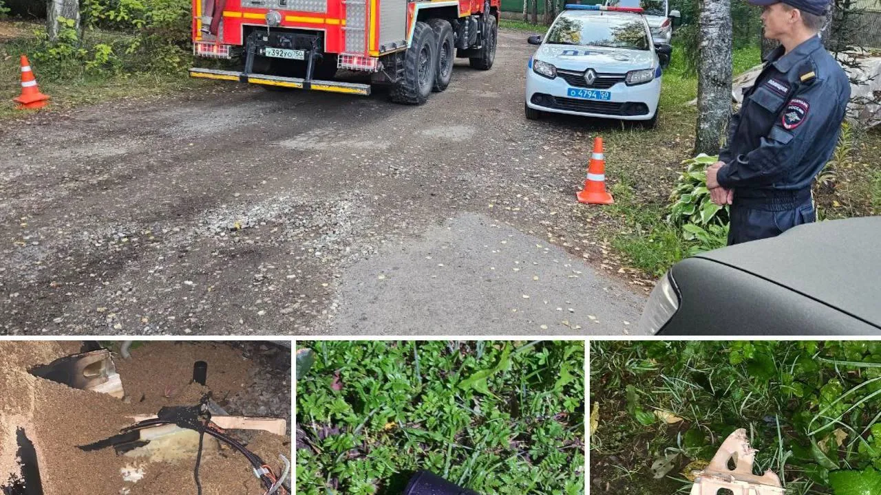 Фото: Подмосковье сегодня