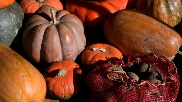 Два десятка наименований продуктов можно будет купить со скидкой до 70% на «Ценопаде» в Королеве