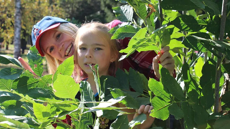 Фото: Министерство благоустройства МО