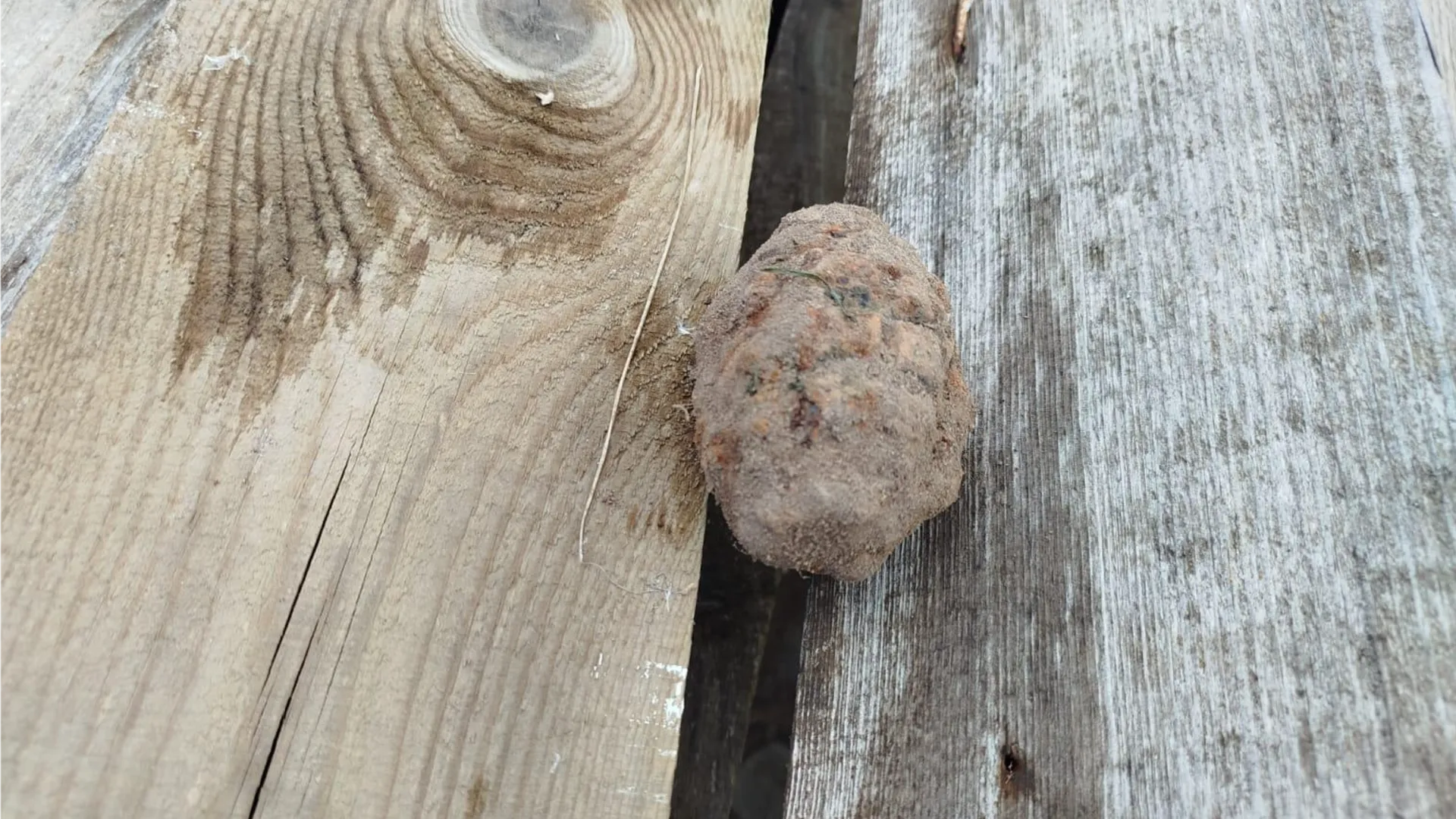 Фото: ГКУ МО «Мособлпожспас»