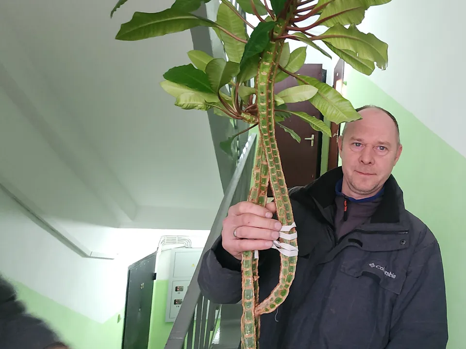 Фото: Хавива Фонина