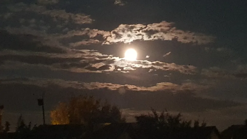 Фото: REGIONS/Наталия Надточая