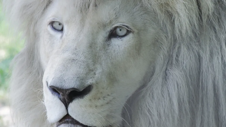 Фото: istockphoto.com