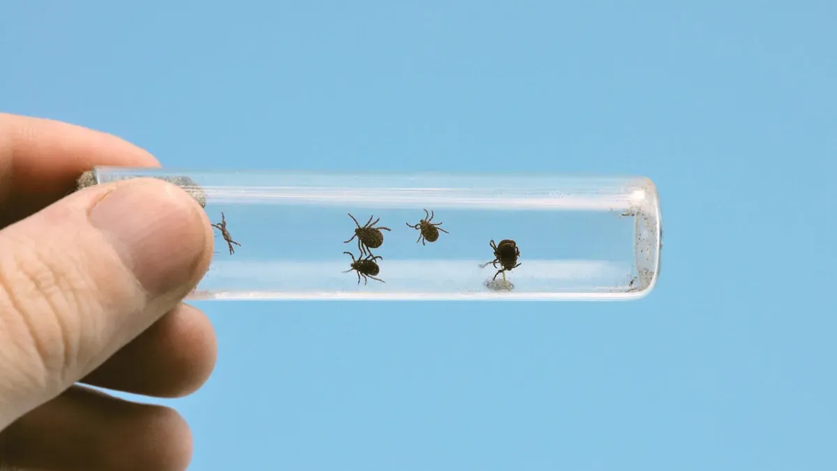 Фото из соцсетей