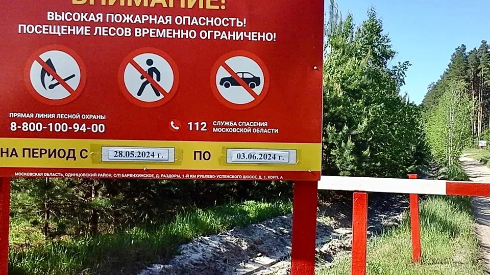 Фото: Михаил Харитонов