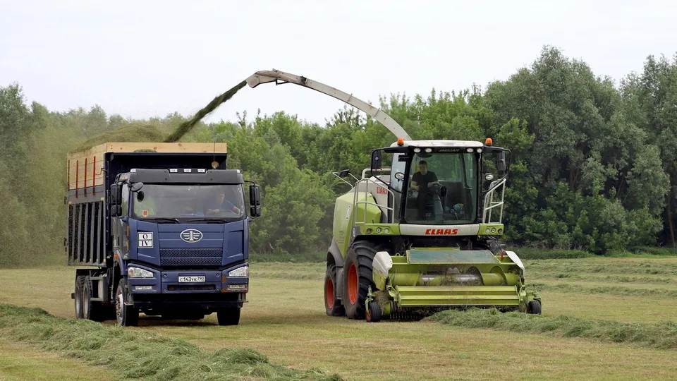 Фото: REGIONS/Александр Дрожжин