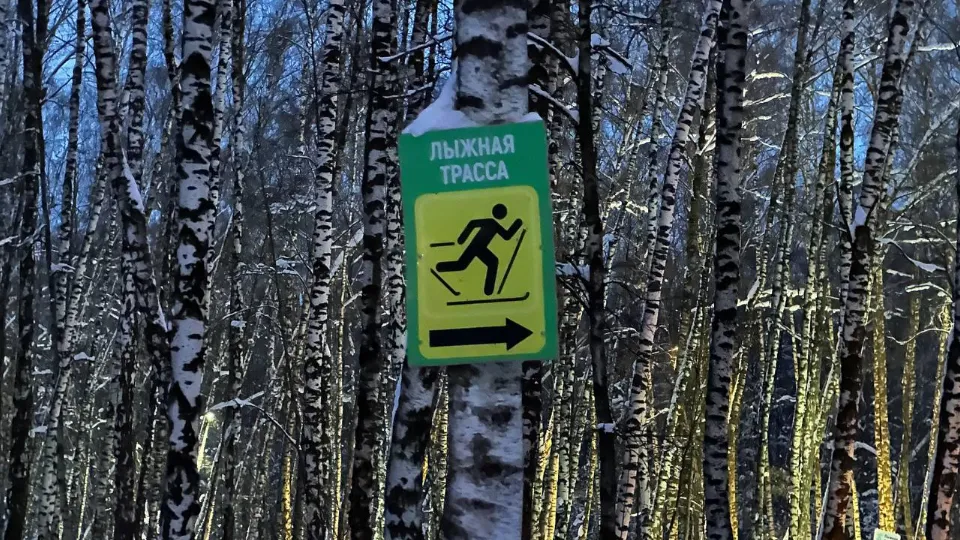 Фото: МедиаБанк Подмосковья/Эдуард Стратонов