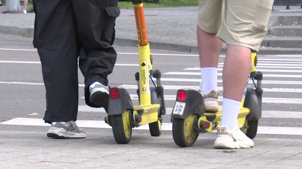 Фото: МедиаБанк Подмосковья/Ксения Казакова