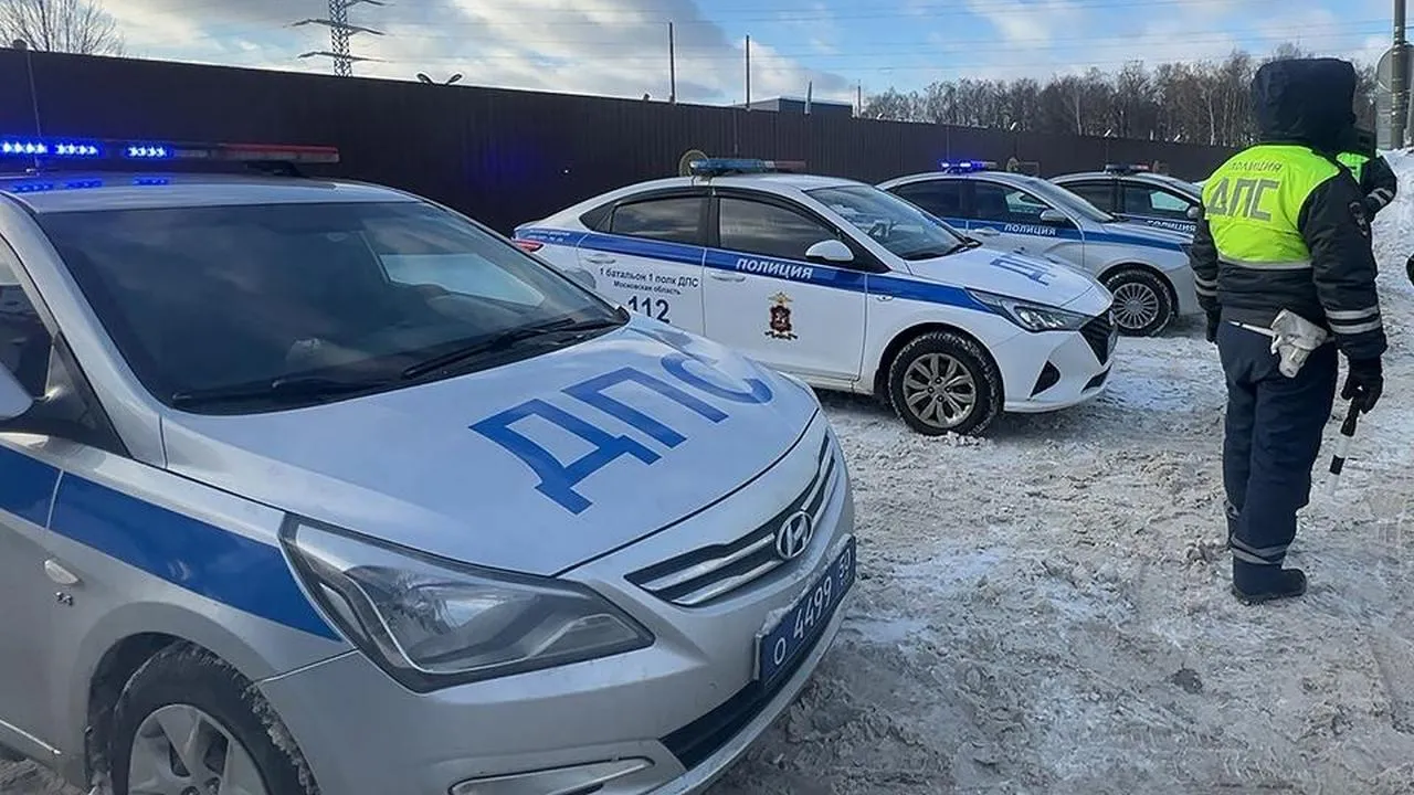 МедиаБанк Подмосковья/Евгения Герасимова