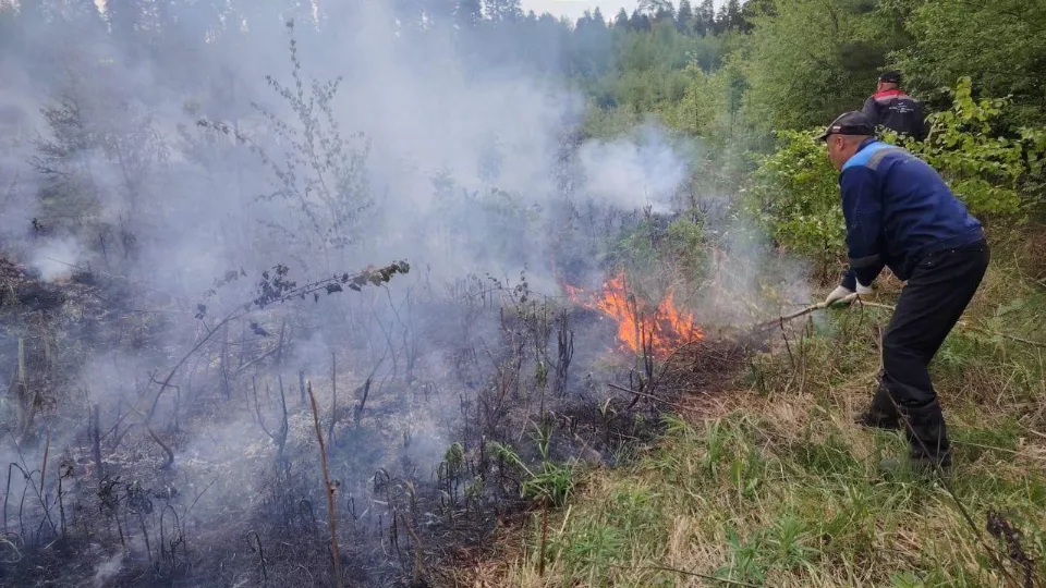 Фото: ГКУ МО «Мособлпожспас»