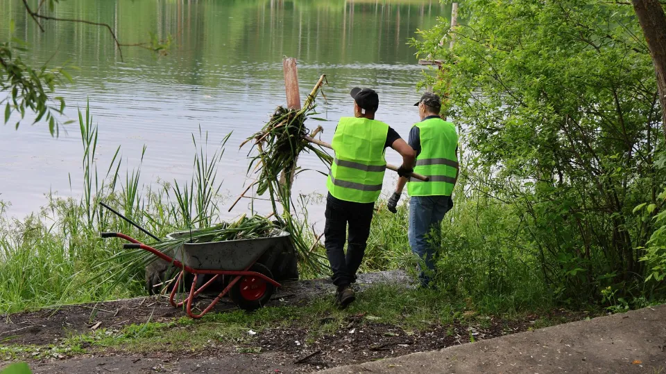 Фото: пресс-служба администрации г.о. Электросталь